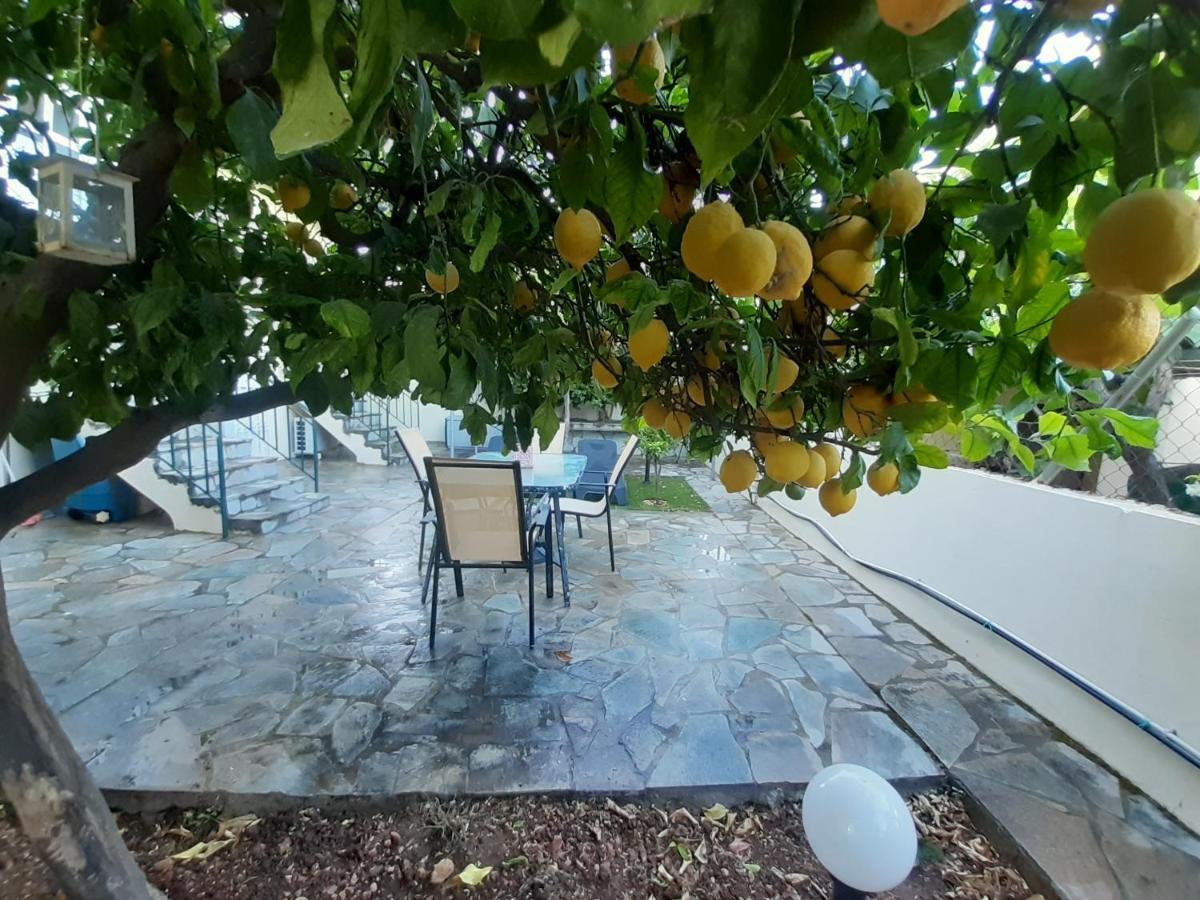 Cozy Apartments Near The Airport Artemida  Exterior photo